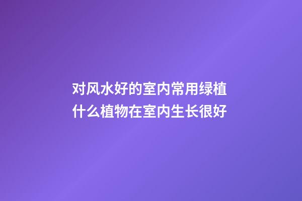对风水好的室内常用绿植 什么植物在室内生长很好